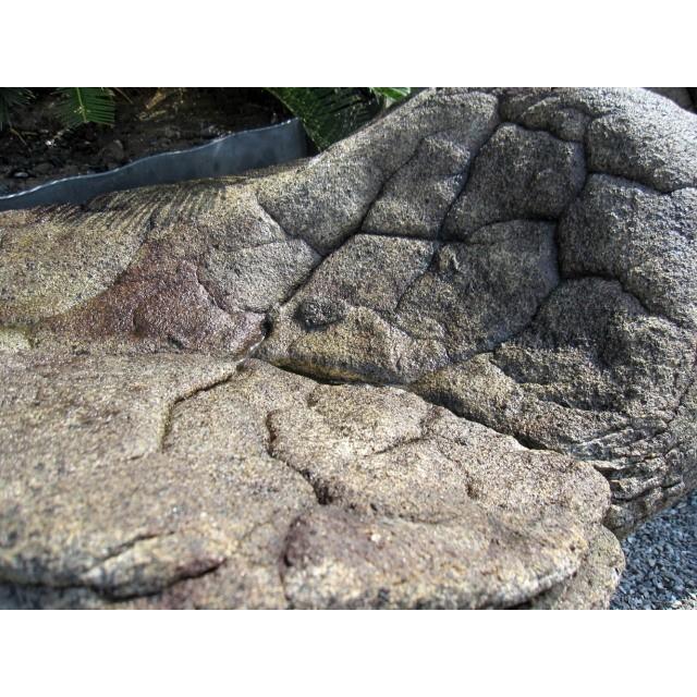 天然石 亀甲石 亀甲石 庭石 銘石 景石 101 天然石 亀の甲羅のような幾何学模様の庭石