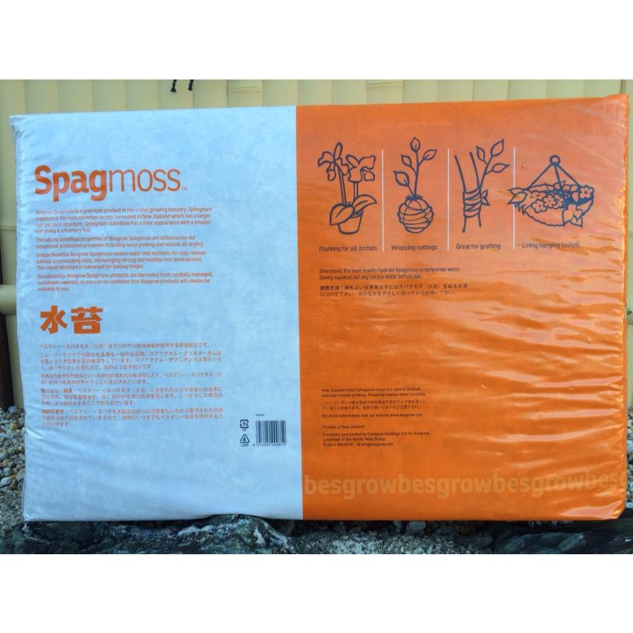 水苔ニュージーランド産Spagmoss約3kg（スタンダード）※パッケージが異なる場合あり 復元容量約240L ※遅れ/キャンセル場合ありの画像
