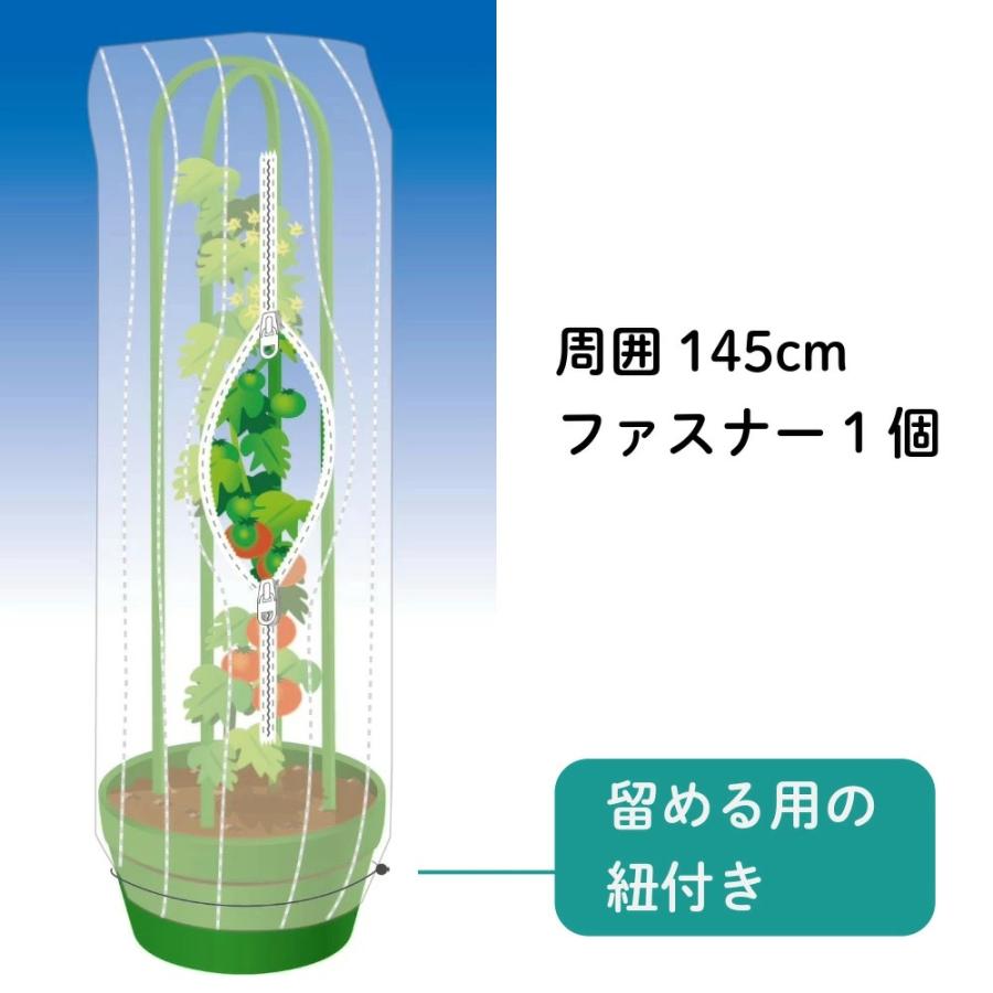 防虫ネットカバー 実り野菜の虫除けカバー 145x高さ175cm 鉢・路地用