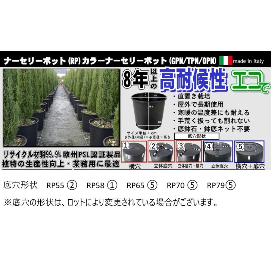 お得用6個set）大型 ナーセリーポット 70cm 持ち手付きRP70（RPφ70(65
