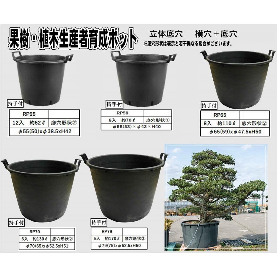 （お得用5個set）大型 ナーセリーポット 持ち手付きRP79（RPφ79(75)-H50）x5鉢 〜代引不可 Φ79xH50cm 170L 底穴あり 大型 植木鉢 果樹ポット 生産者ポットの画像