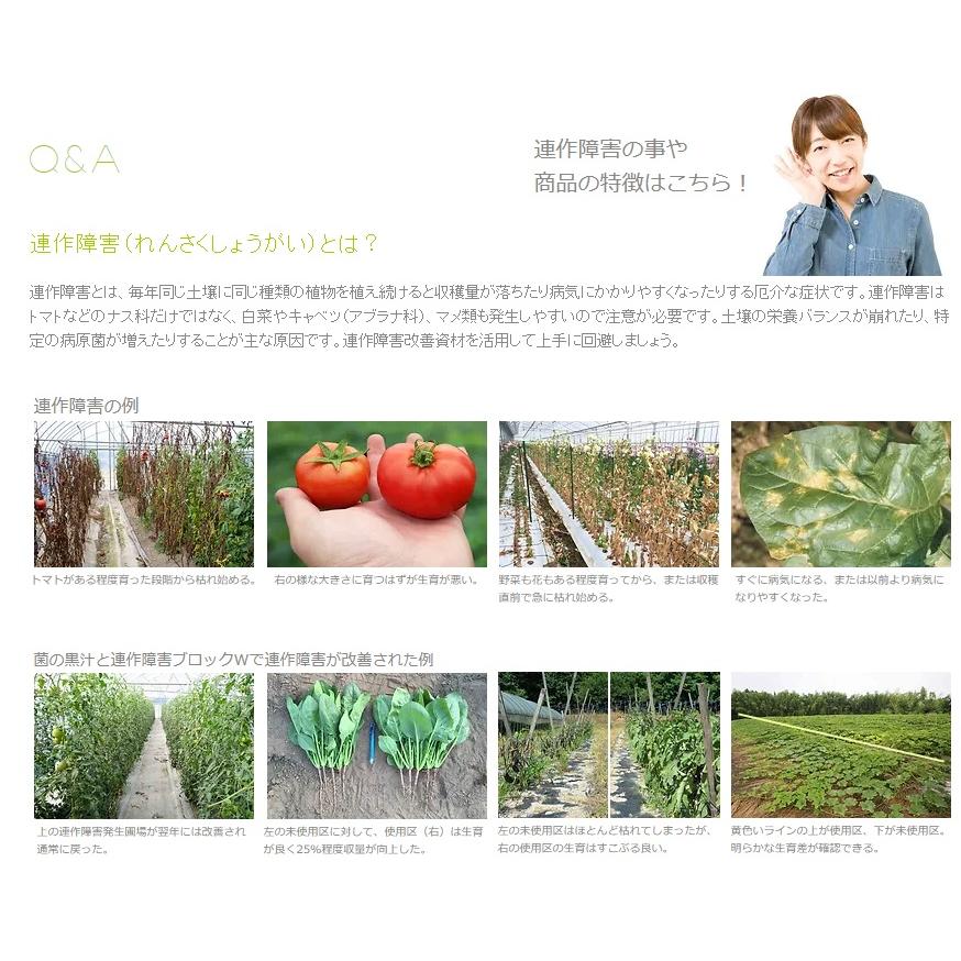 菌の黒汁　10L 〜善玉菌入 連作障害改善 光合成細菌 液体有機たい肥 ヤサキ_1