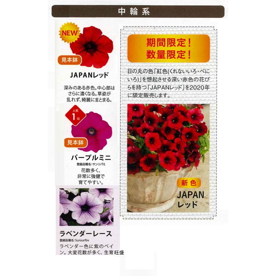 花苗販売3月末 発送 サントリーフラワーズ サフィニア9cmポット苗 Surfinia ガーデニングどっとコムyahoo 店 通販 Yahoo ショッピング