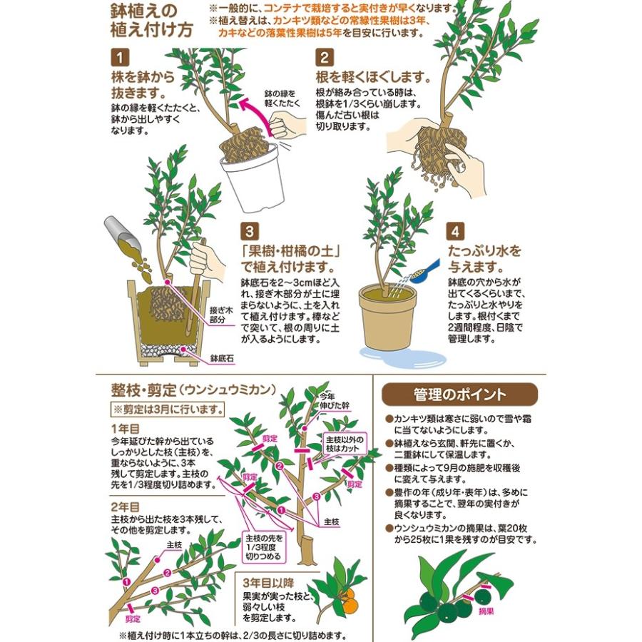 花ごころ 果樹柑橘の土12l Green Earth Togetherシリーズにリニューアル B 04c1 ガーデニングどっとコムyahoo 店 通販 Yahoo ショッピング