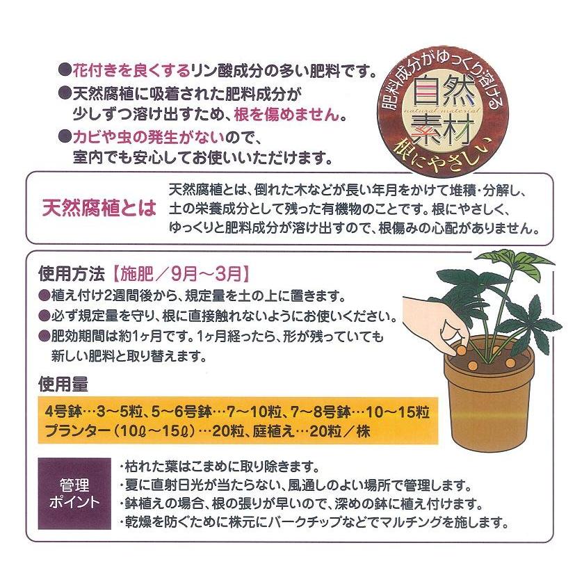花ごころ クリスマスローズの肥料700g〜清楚で可憐に咲く〜 :B308010101-25C1:ガーデニングどっとコムYahoo!店 - 通販 - Yahoo!ショッピング 花ごころ クリスマスローズの肥料700g〜清楚で可憐に咲く〜 :B308010101-25C1:ガーデニングどっとコムYahoo!店 - 通販 - Yahoo!ショッピング