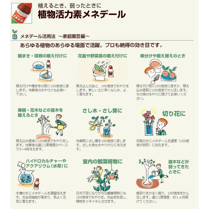 数量限定】 3個 植物活力素 メネデール 20L 生長 鉄 イオン 発根 促す さし木 種まき 植え付け 花 タ種 個人宅配送不可 D fucoa.cl