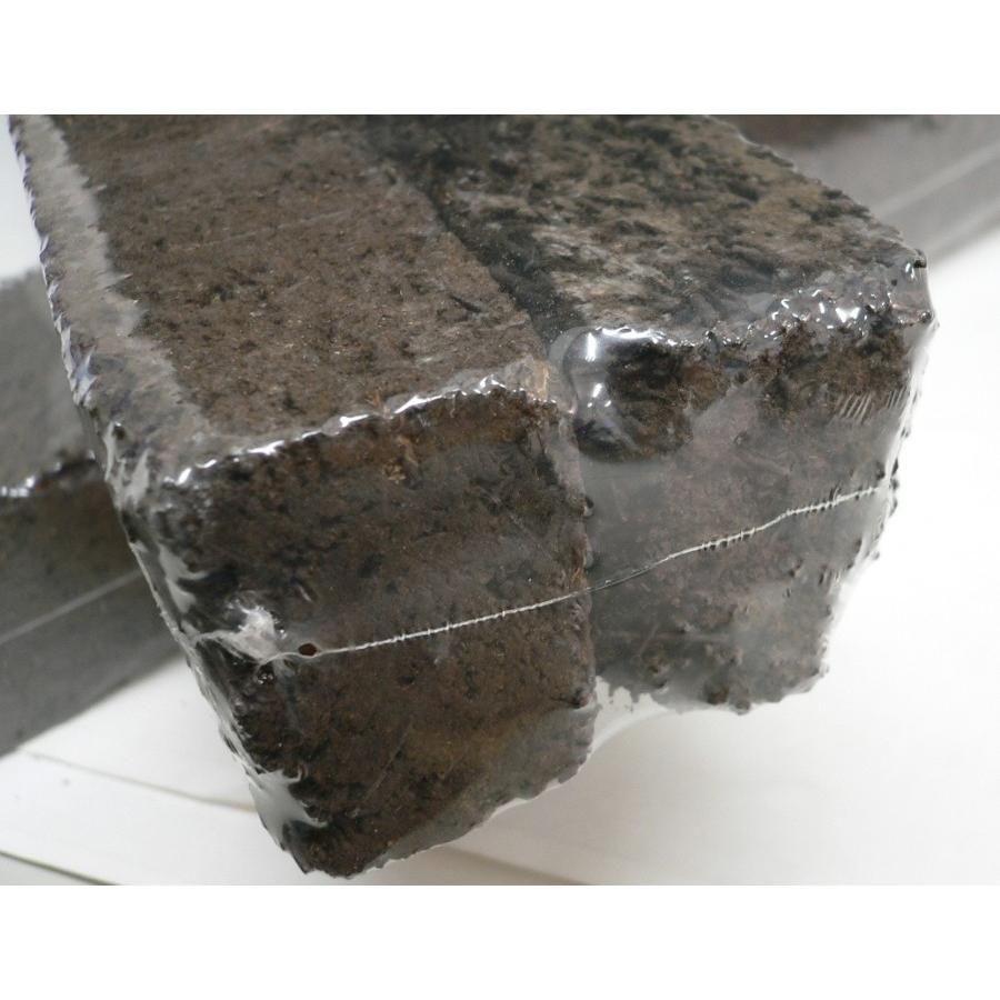 ヘゴ支柱 60cm ２本入 天然ヘゴ材 観葉植物支柱 M c3 ガーデニングどっとコムyahoo 店 通販 Yahoo ショッピング