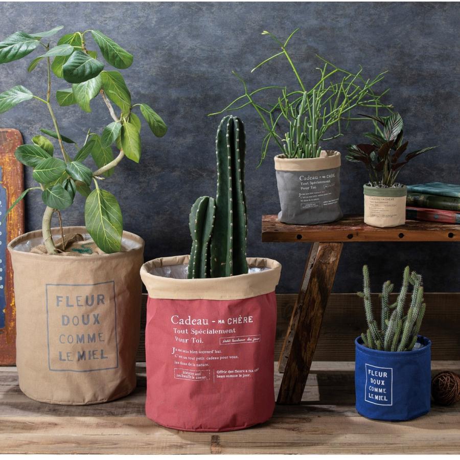 鉢カバーcadeauサークルlｌサイズ Kk550 Kk551 おおそそ10号鉢 11号鉢サイズ 内径335mm M 04c1 ガーデニングどっとコムyahoo 店 通販 Yahoo ショッピング