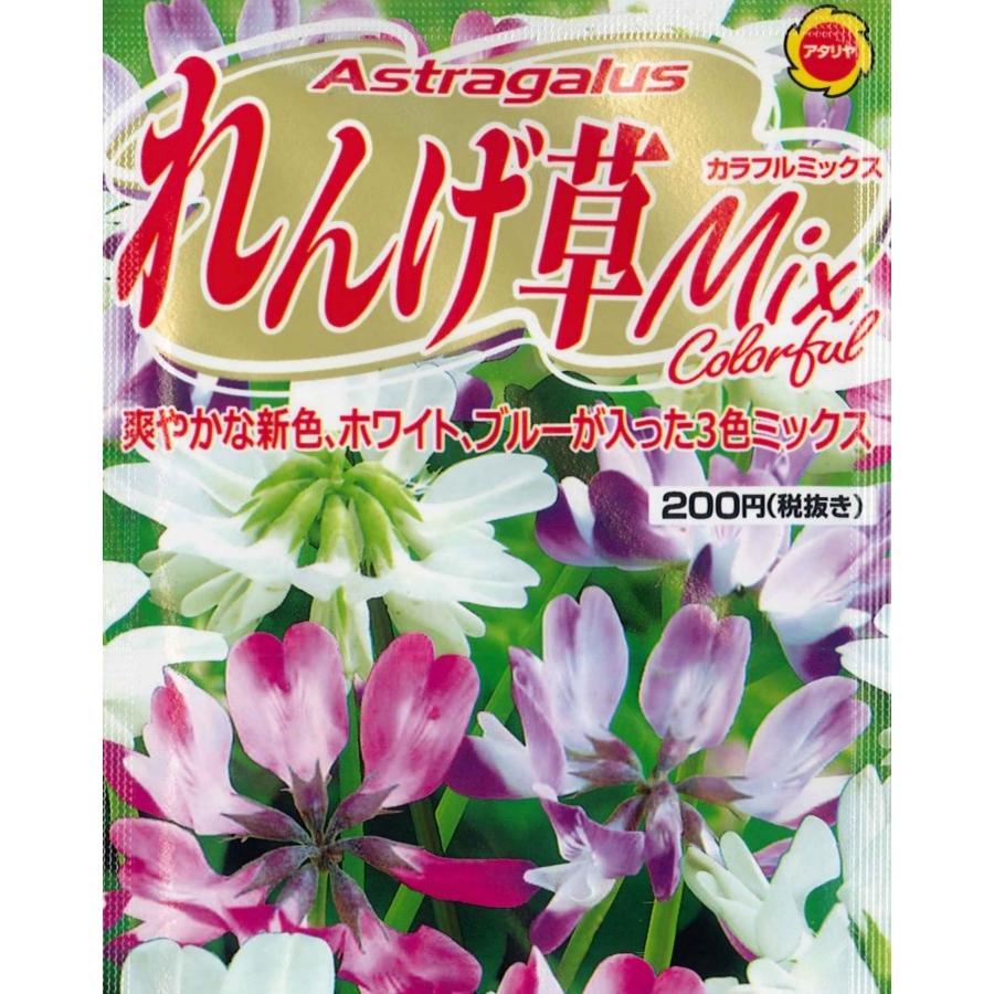 アタリヤ れんげ草 カラフルミックス 1ml 花種 T 05c1 ガーデニングどっとコムyahoo 店 通販 Yahoo ショッピング