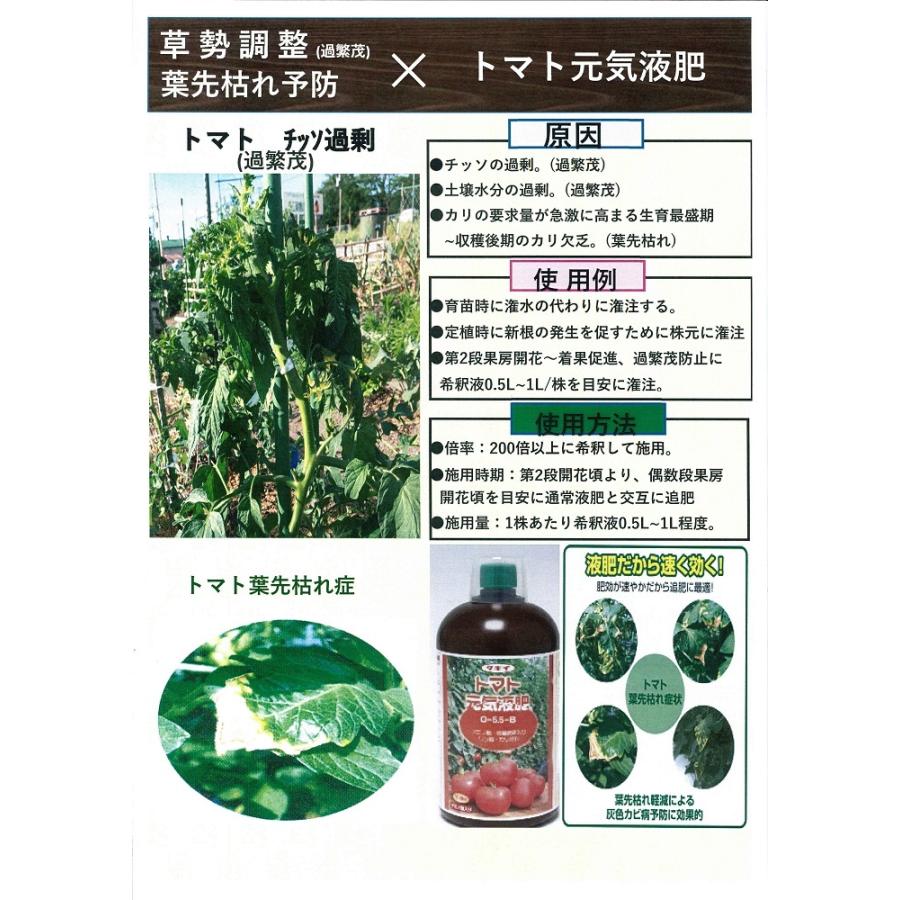 Seal限定商品 タキイ種苗 トマト元気液肥 kg 0 5 5 8 トマト等 果菜類の活着促進に きは別途 3 000円追加送料 新規購入 Oxfordstudentzone Co Uk