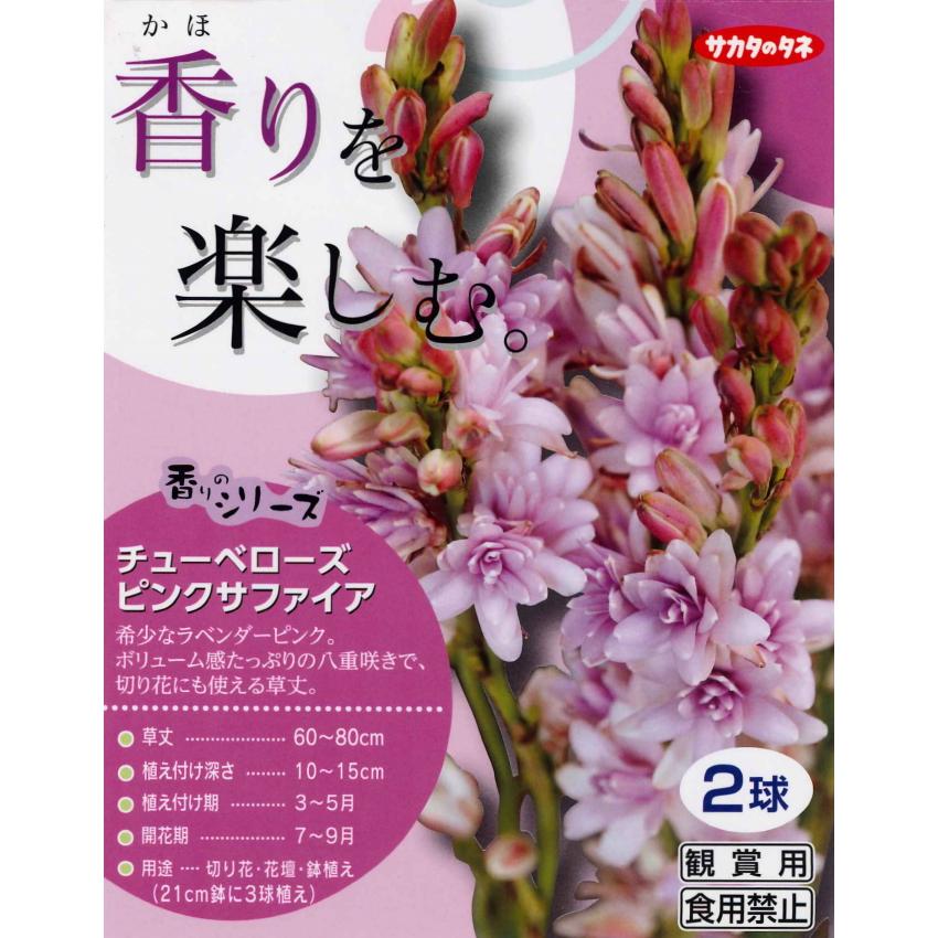 春植え球根 香りを楽しむシリーズ チューベローズ ピンクサファイア 2球入り U 10c1 ガーデニングどっとコムyahoo 店 通販 Yahoo ショッピング