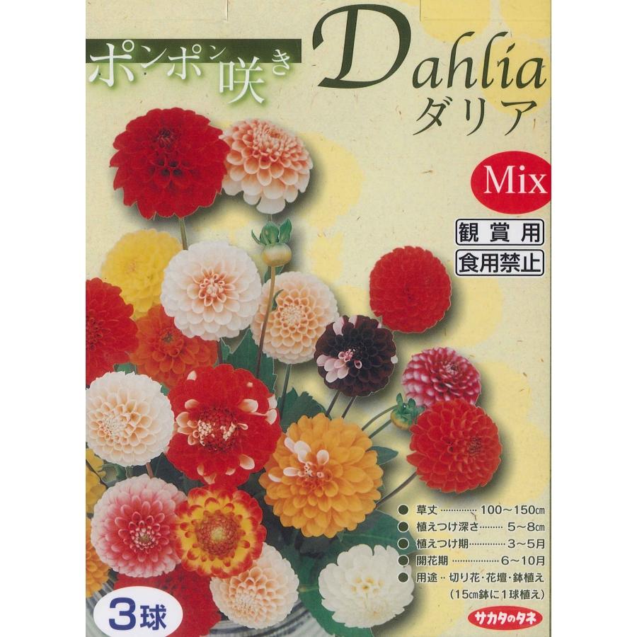 春植え球根 ダリアポンポン咲き混合 ３球入 U 10c1 ガーデニングどっとコムyahoo 店 通販 Yahoo ショッピング