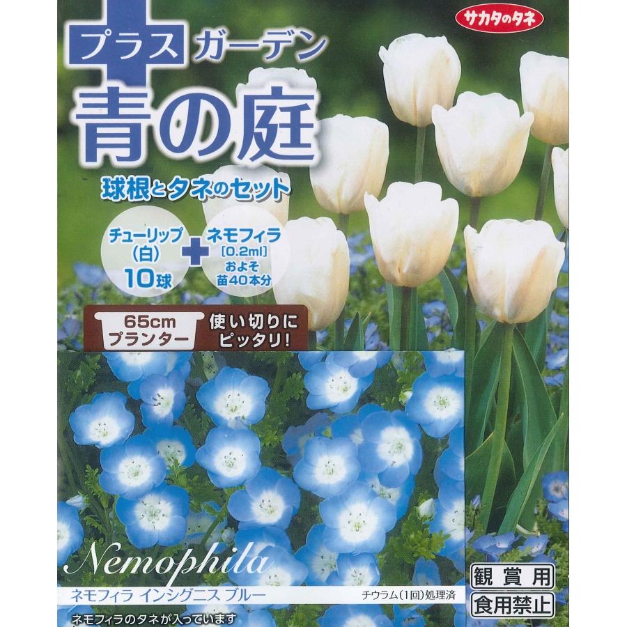 秋植え球根チューリップ ガーデン青の庭 白チューリップ10球 ブルーネモフィラ 球根とタネのセット U 10c1 ガーデニングどっとコムyahoo 店 通販 Yahoo ショッピング