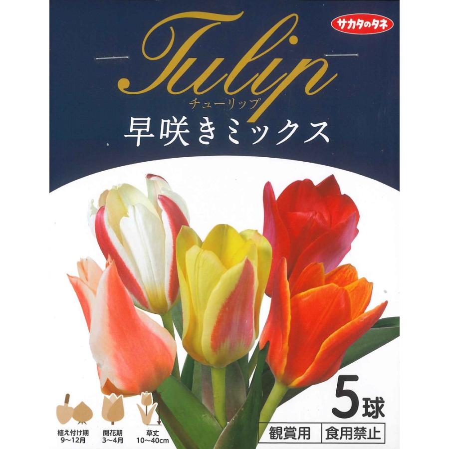 秋植え球根チューリップ 早咲き混合 5球入 U 10c1 ガーデニングどっとコムyahoo 店 通販 Yahoo ショッピング