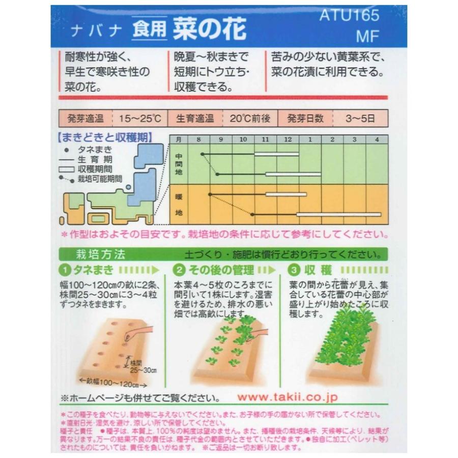 タキイ ナバナ 食用菜の花 5ml 野菜種 葉菜 菜花 U 05c1 ガーデニングどっとコムyahoo 店 通販 Yahoo ショッピング