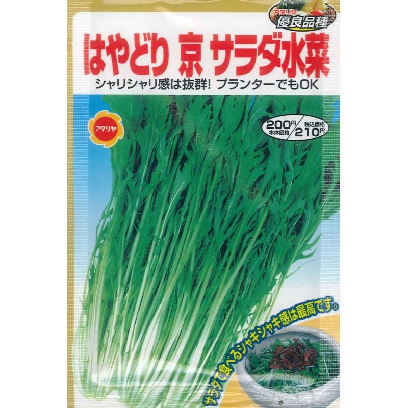 アタリヤ はやどり京サラダ水菜 10ml 野菜種 葉菜 ミズナ U 05c1 ガーデニングどっとコムyahoo 店 通販 Yahoo ショッピング