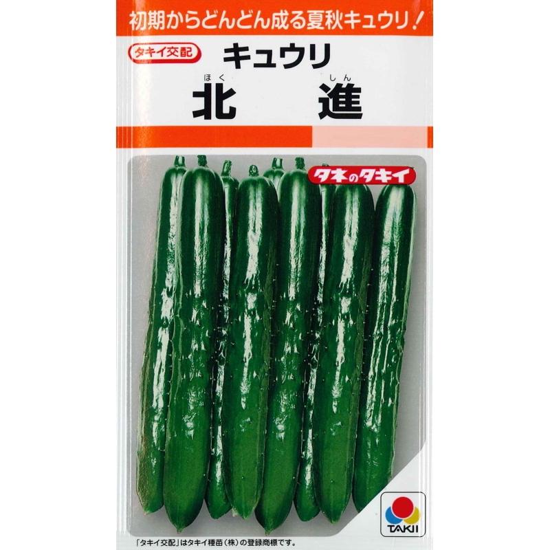 タキイ キュウリ 北進 13粒 夏野菜 野菜種 実菜 きゅうり U 05c1 ガーデニングどっとコムyahoo 店 通販 Yahoo ショッピング