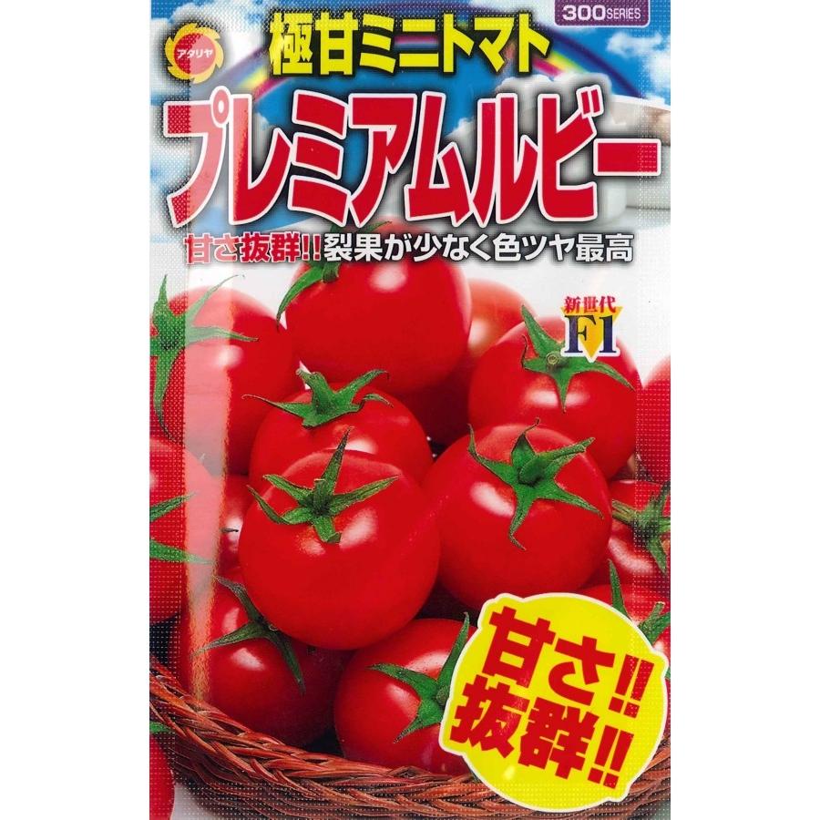 アタリヤ ミニトマト プレミアムルビー 0 3ml 夏野菜種 実菜 とまと U 05c1 ガーデニングどっとコムyahoo 店 通販 Yahoo ショッピング