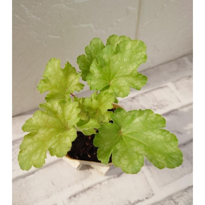 ベイカーズスクエアのレモンシュプリームパイのレシピ