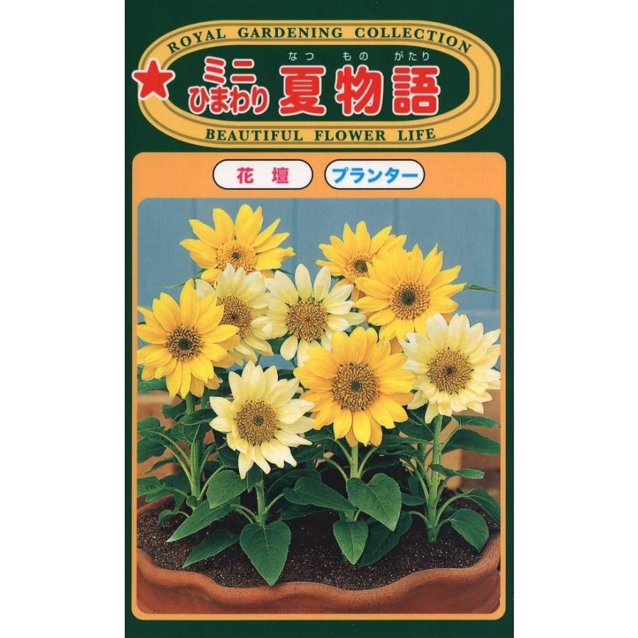 花種子 ミニひまわり 夏物語 トーホクのタネ : Gardener s Shop Ivy