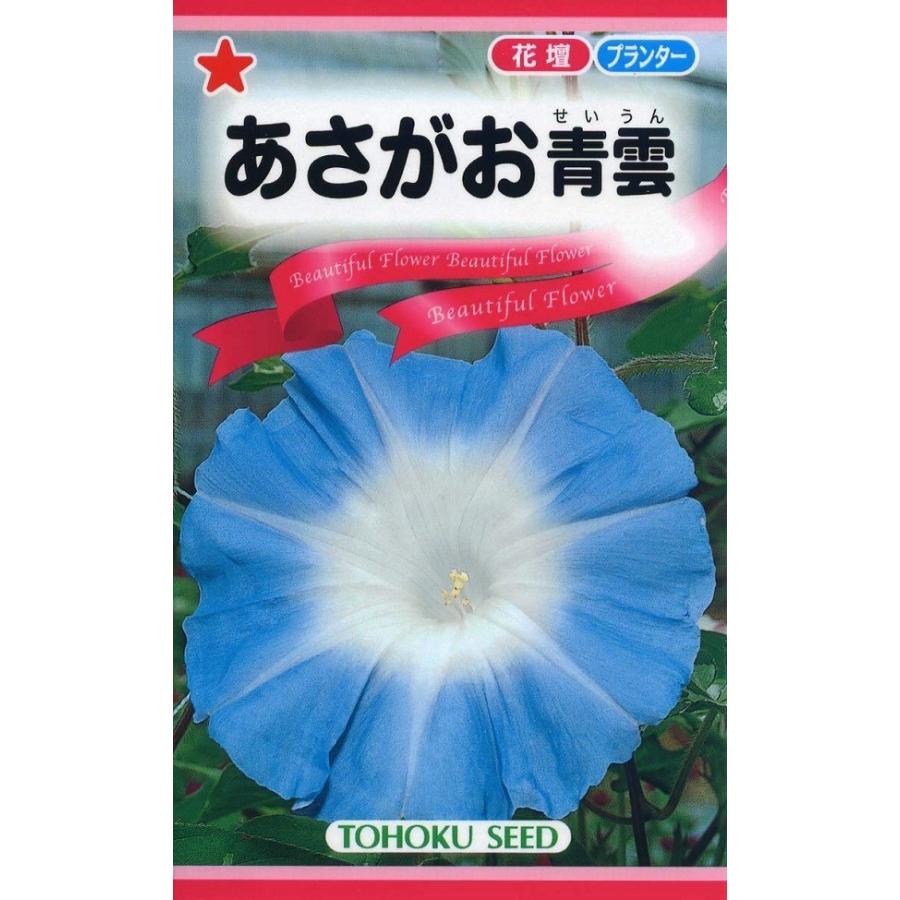花種子 あさがお 青雲 トーホクのタネ : Gardener s Shop Ivy - 通販