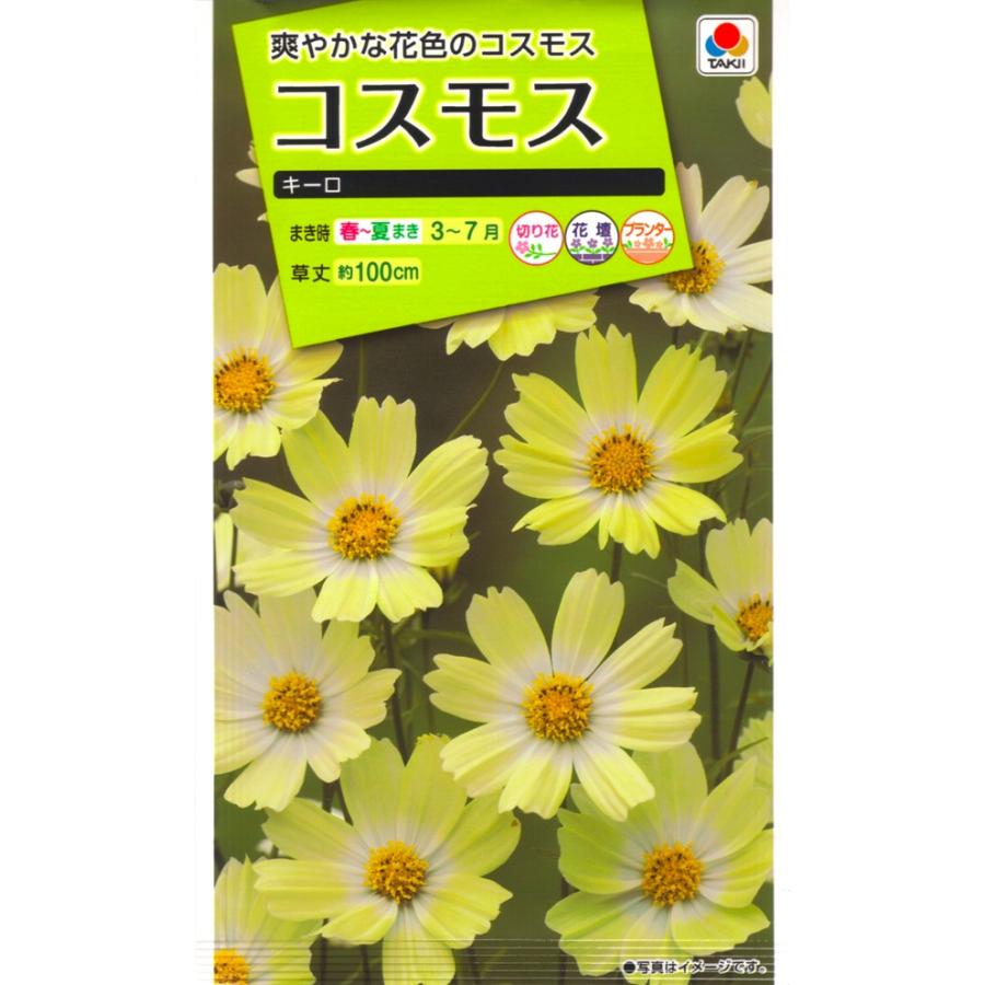 花種子 コスモス キーロ タキイ種苗のタネ : Gardener s Shop Ivy