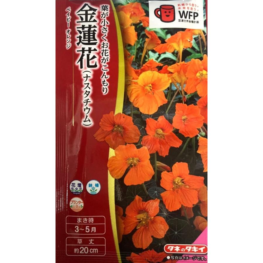 花種子 金蓮花（ナスタチウム） ベイビーオレンジ タキイ種苗のタネ