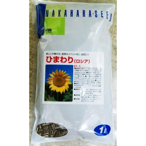 花種子 景観用ひまわり ロシア 1L入 大袋 中原採取場のタネ : Gardener