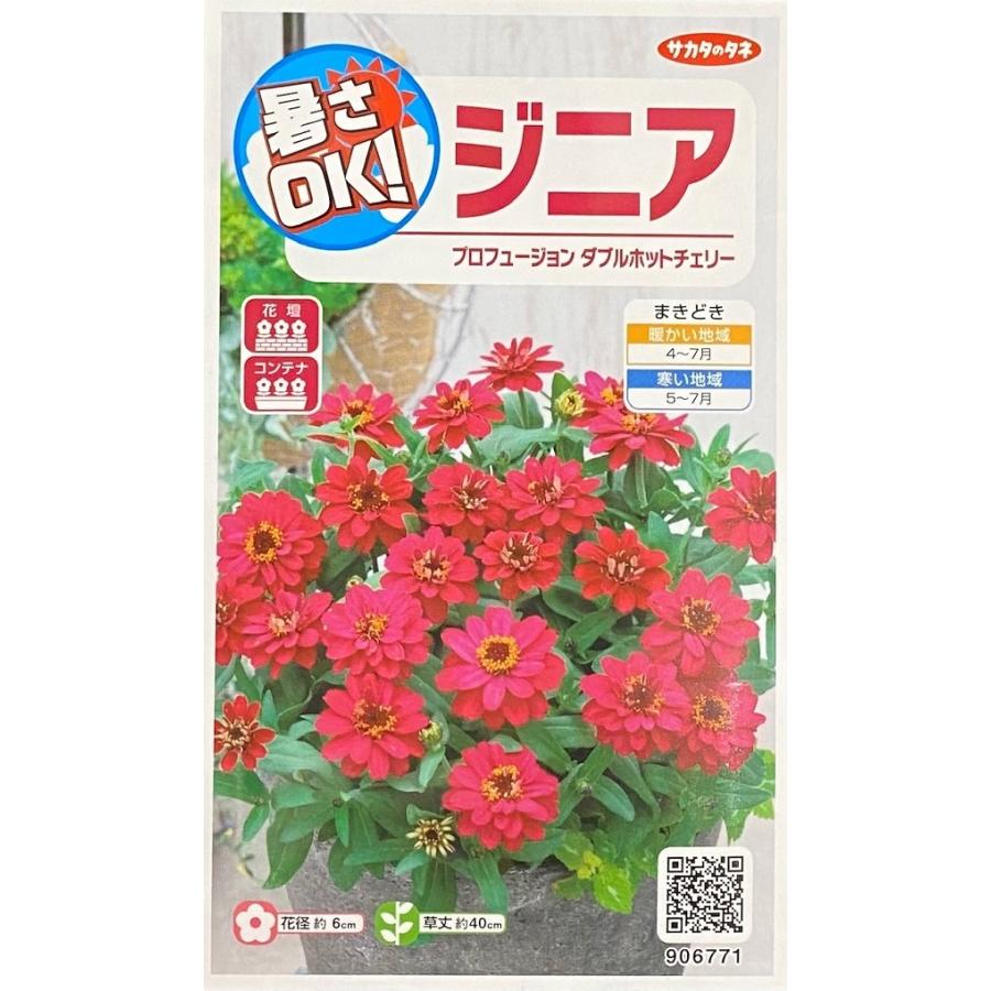 種子 ジニア プロフュージョン ダブルホットチェリー サカタのタネ 農林水産省品種登録 登録品種名 Sakzin014 海外持出禁止 Hanatane 0322 Gardener S Shop Ivy 通販 Yahoo ショッピング