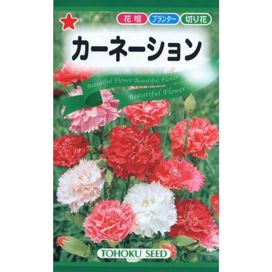 【種子】カーネーション トーホクのタネ｜gardeningivy