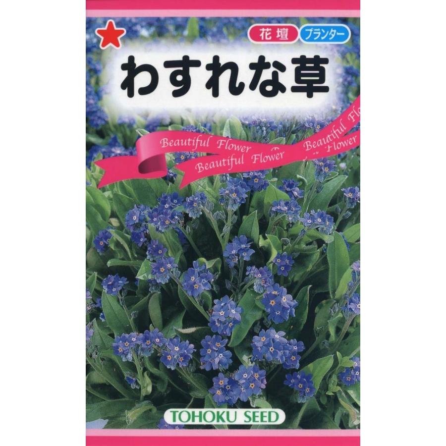種子 わすれな草 トーホクのタネ Hanatane 035 Gardener S Shop Ivy 通販 Yahoo ショッピング