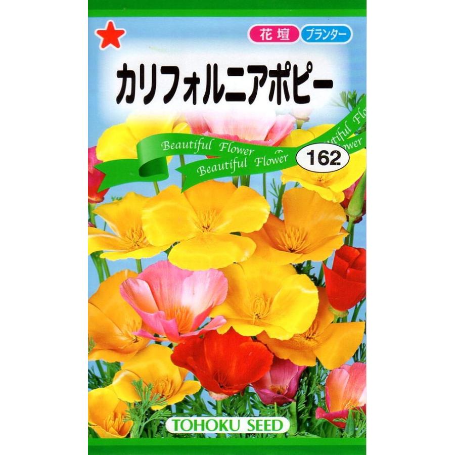 種子 カリフォルニアポピー トーホクのタネ Hanatane 041 Gardener S Shop Ivy 通販 Yahoo ショッピング