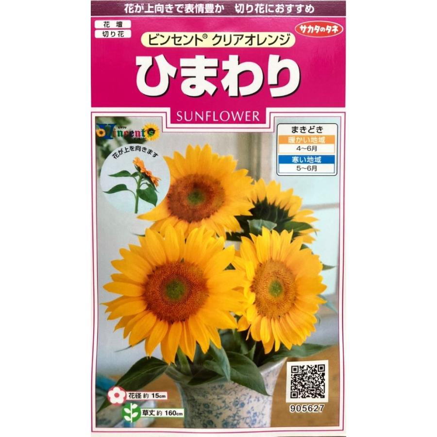サカタのタネ（サカタノタネ） 【種子】 ひまわり ビンセント(R