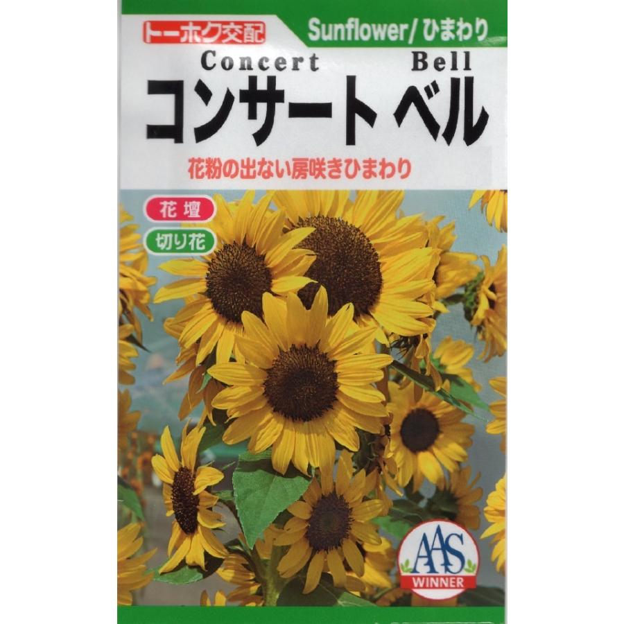 花種子 ひまわり コンサート ベル トーホクのタネ : Gardener s Shop