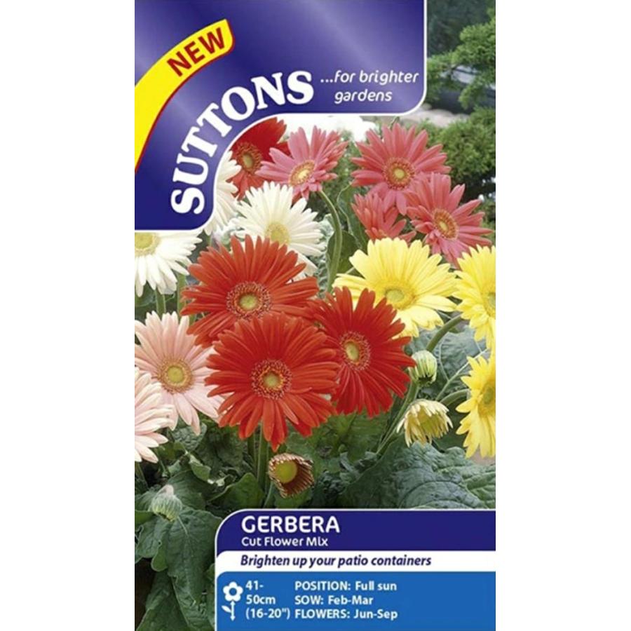 花種子 Suttons Seeds Gerbera 'Cut Flower Mix' ガーベラ 'カット・フラワー・ミックス' サットンズシード（Yahoo!・Gardener s Shop Ivy）