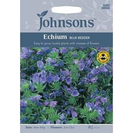 Johnsons Seeds Echium Blue Bedder エキウム・ブルー・ベッダー ジョンソンズシード