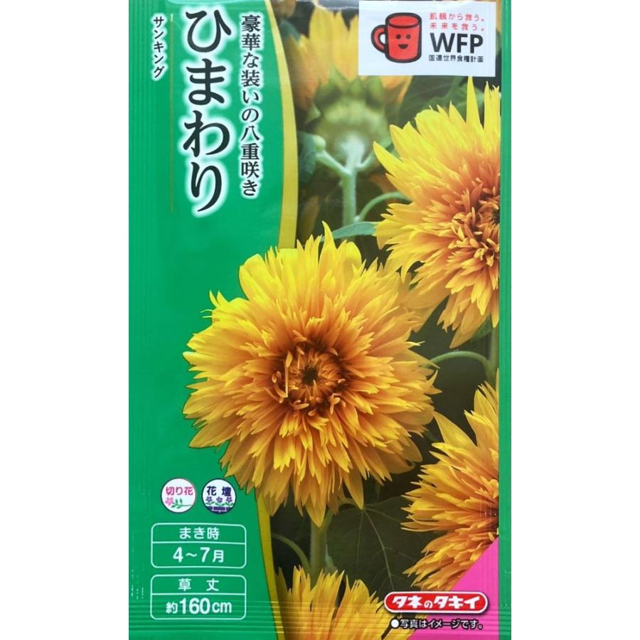 花種子 ひまわり サンキング タキイ種苗のタネ : Gardener s Shop Ivy