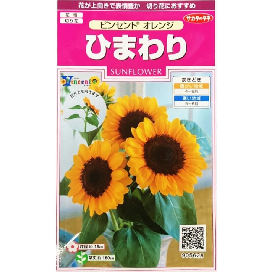 ひまわり ビンセント オレンジ サカタのタネ 完璧