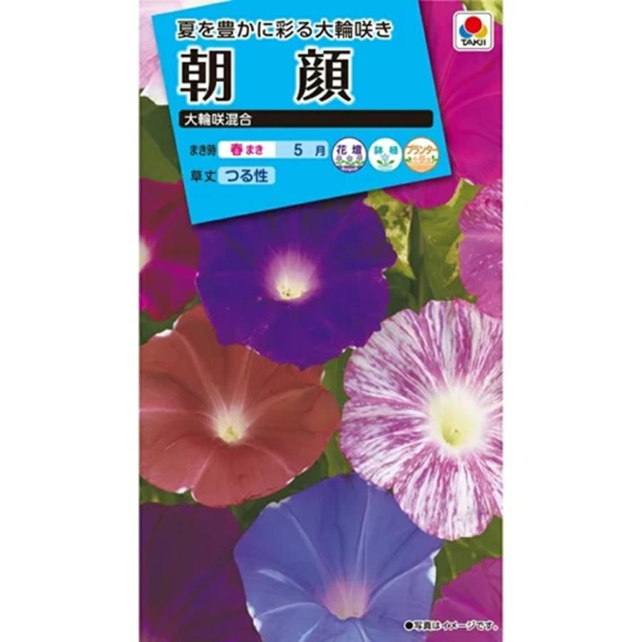 朝顔 花種子 朝顔 大輪咲混合 タキイ種苗のタネ : Gardener s Shop Ivy