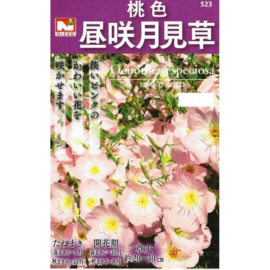 花種子 桃色昼咲月見草 日光種苗のタネ : Gardener s Shop Ivy - 通販