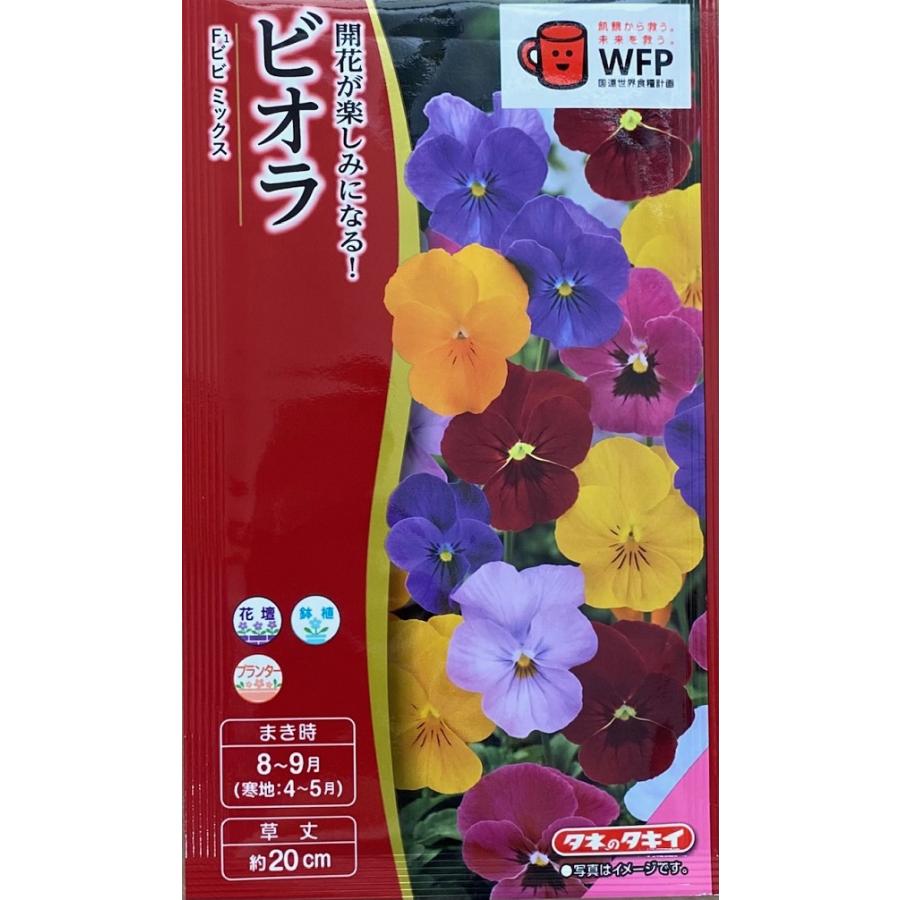 種子 Prime Perennial Collection エキナセア パラドクサ Life With Green Hanatane 1031 Gardener S Shop Ivy 通販 Yahoo ショッピング