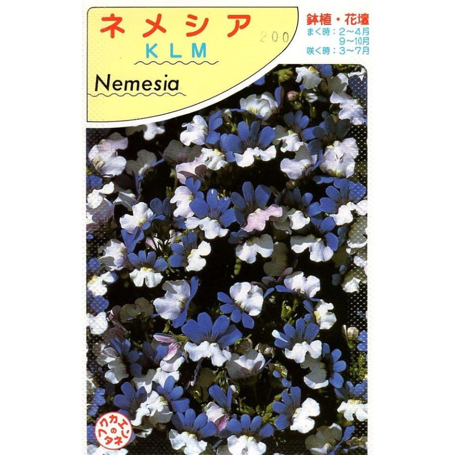 種子 ネメシア Klm 福花園種苗のタネ Hanatane 1053 Gardener S Shop Ivy 通販 Yahoo ショッピング