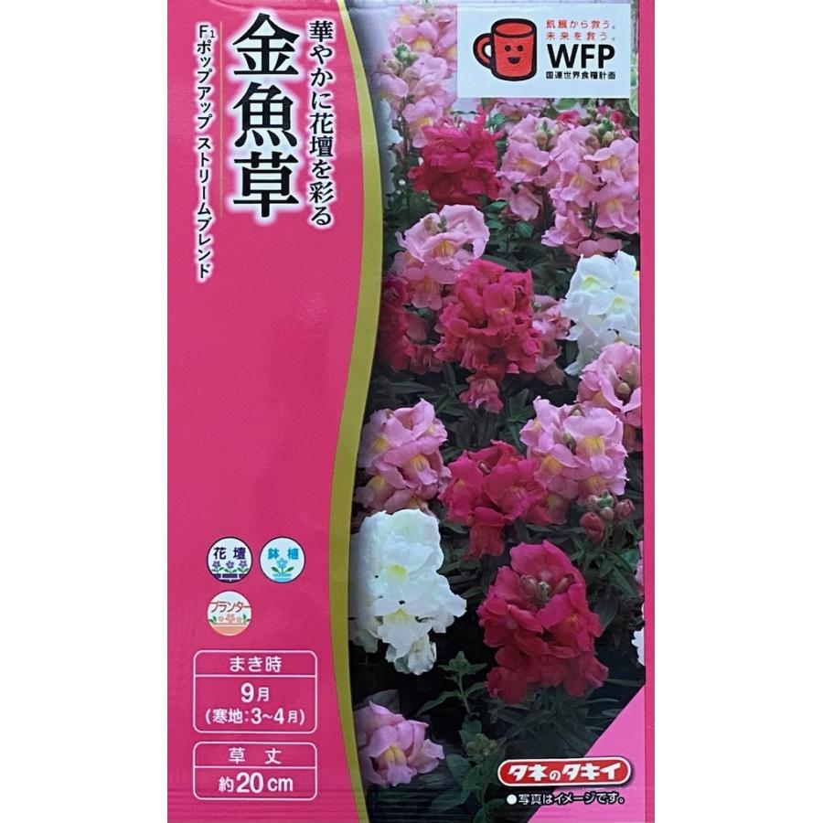 種子 エキナセア パープレアアルバ Life With Green Hanatane 1073 Gardener S Shop Ivy 通販 Yahoo ショッピング