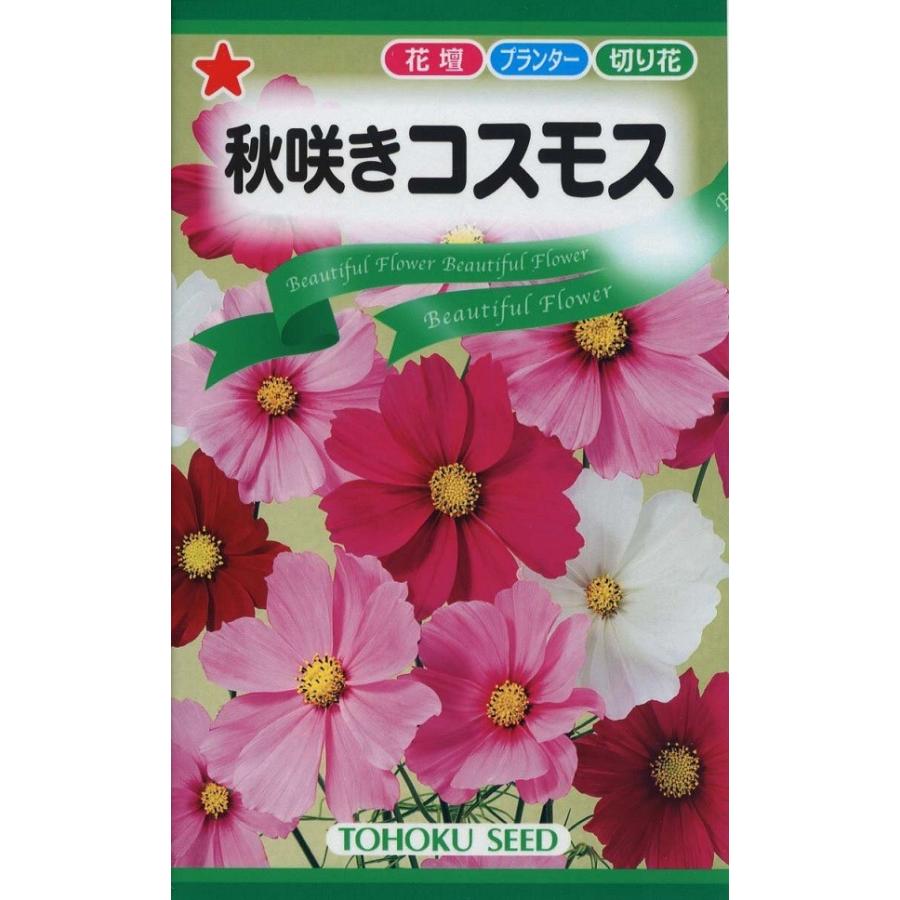 種子 秋咲きコスモス トーホクのタネ : Gardener s Shop Ivy - 通販