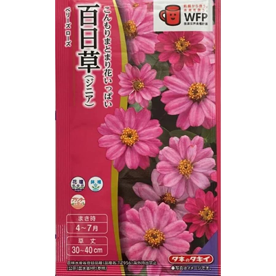 花種子 百日草（ジニア） ベリーズ ローズ タキイ種苗のタネ 農水省