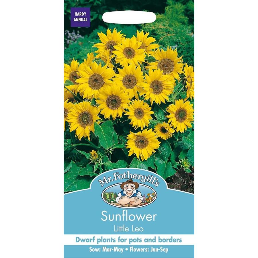 【種子】Mr.Fothergill's Seeds Sunflower Little Leo サンフラワー リトル・レオ ミスター・フォザーギルズシード｜gardeningivy