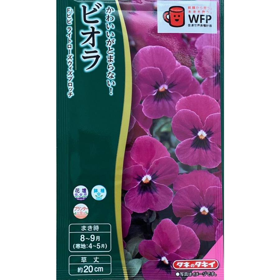 3801⭐️チビチビ⭐️小輪⭐️超コンパクト⭐️多弁⭐️原種交配⭐️野生味溢れる⭐️広瀬園芸⭐️ 3801⭐️チビチビ⭐️小輪⭐️超コンパクト⭐️多弁⭐️原種交配⭐️野生