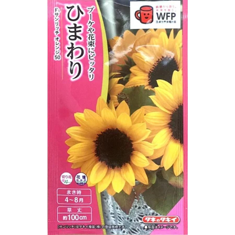 花種子 ひまわり F1サンリッチ オレンジ50 タキイ種苗のタネ