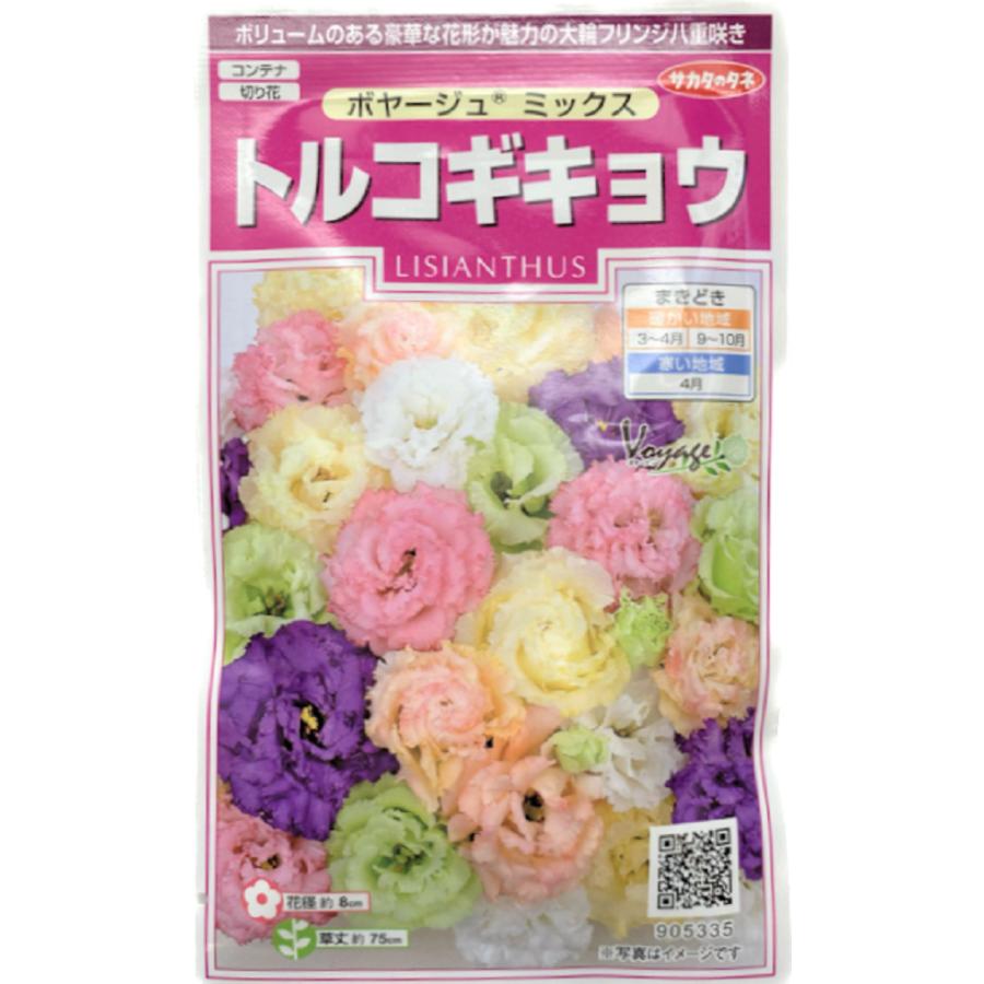 種 花たね トルコキキョウ F1シャーロットグリーン 1袋(25粒) 花 タキイ種苗 草花 種子 ユーストマ(トルコ桔梗、トルコギキョウ、トルコキキョウ)・F1なみだプラス