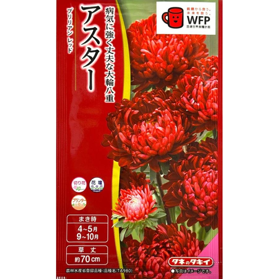 完璧 種子 シロクローバー 品種名 フィア お徳用500ｇ袋 カネコ種苗のタネ Aynaelda Com